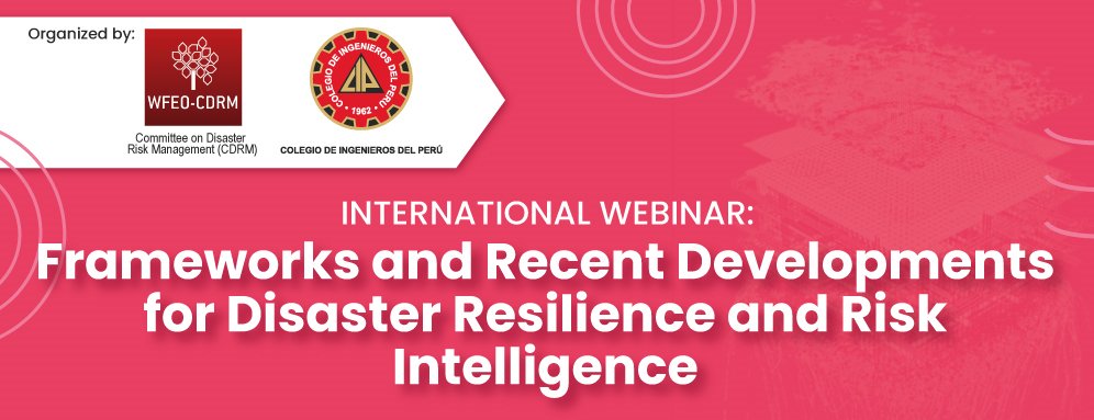 CDRM webinar "Frameworks and Recent Developments for Disaster Resilience and Risk Intelligence"